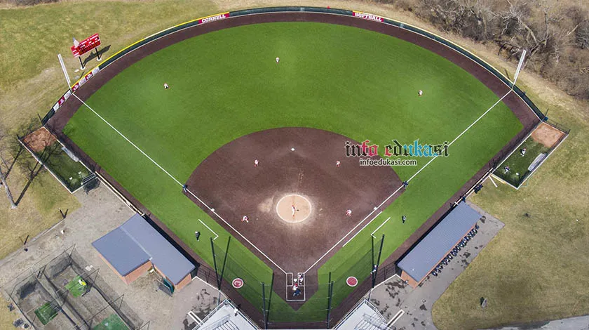 Contoh gambar berupa foto bentuk lapangan softball dari atas